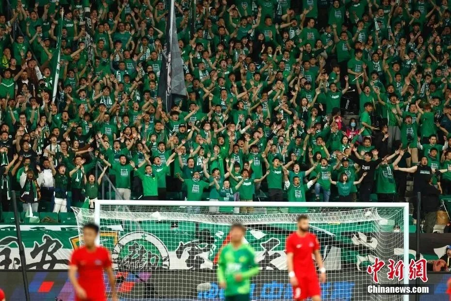 本届乒乓球 本届乒乓球